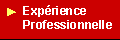 exp�rience professionnelle
