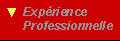 exp�rience professionnelle
